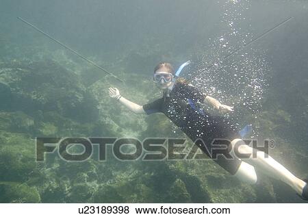 Stock Photo - Woman swimming underwater, San Cristobal Island, Galapagos Islands, Ecuador. Fotosearch