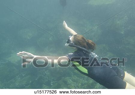 Woman swimming underwater, San Cristobal Island, Galapagos Islands, Ecuador View Large Photo Image Stock Photograph - Woman swimming underwater, San Cristobal Island, Galapagos Islands, Ecuador. Fotosearch
