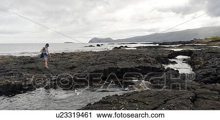 Stock Image - Woman walking on the coast, Puerto Egas, Santiago Island, Galapagos Islands, Ecuador. Fotosearch