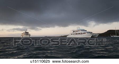 Yachts in the ocean, Puerto Baquerizo Moreno, San Cristobal Island, Galapagos Islands, Ecuador View Large Photo Image Stock Photography - Yachts in the ocean, Puerto Baquerizo Moreno, San Cristobal Island, Galapagos Islands, Ecuador. Fotosearch