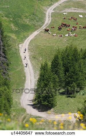 Stock Photo - Aerial view of bikers on rural road. Fotosearch