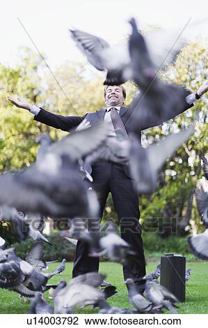 Businessman feeding pigeons in park View Large Photo Image Stock Image - Businessman feeding pigeons in park. Fotosearch