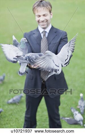 Stock Photo - Businessman feeding pigeons in park. Fotosearch