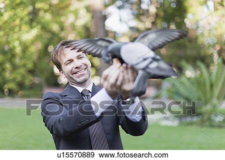 Stock Photo - Businessman feeding pigeons in park. Fotosearch