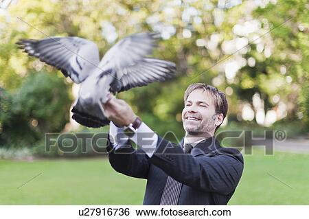 Stock Photograph - Businessman feeding pigeons in park. Fotosearch