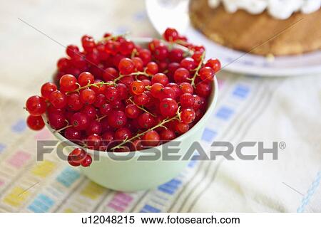 Close up of bowl of berries View Large Photo Image Stock Photography - Close up of bowl of berries. Fotosearch