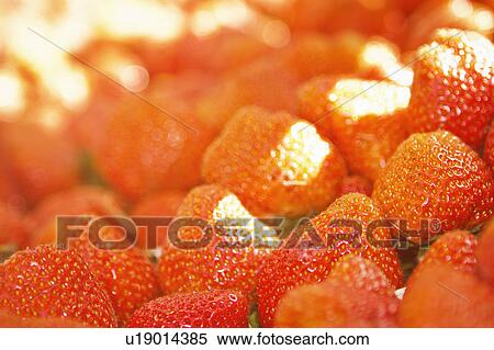 Stock Photography - Close up of pile of strawberries. Fotosearch