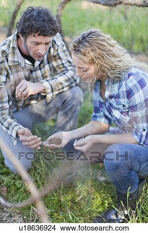 Couple examining seeds outdoors View Large Photo Image Picture - Couple examining seeds outdoors. Fotosearch