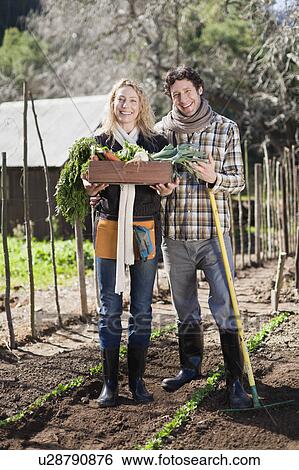 Stock Photograph - Couple picking vegetables in garden. Fotosearch