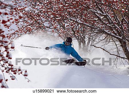 Cross country skier on snowy terrain View Large Photo Image Stock Image - Cross country skier on snowy terrain. Fotosearch