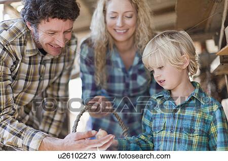 Family examining eggs in henhouse View Large Photo Image Stock Image - Family examining eggs in henhouse. Fotosearch