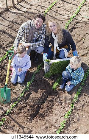 Family planting in garden together View Large Photo Image Picture - Family planting in garden together. Fotosearch