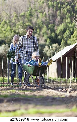 Stock Photo - Father pushing son in wheelbarrow. Fotosearch