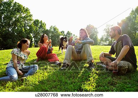 Friends playing with dog in park View Large Photo Image Stock Photo - Friends playing with dog in park. Fotosearch
