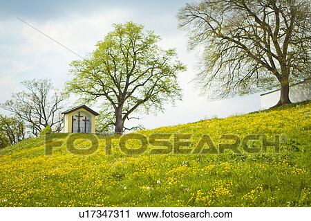 Stock Image - House built on grassy hilltop. Fotosearch