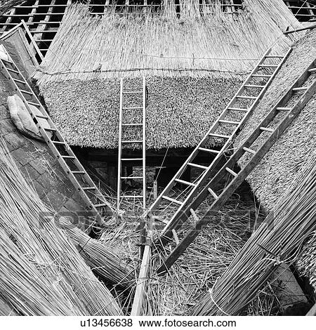 Ladders leading to thatched roof View Large Photo Image Stock Photo - Ladders leading to thatched roof. Fotosearch
