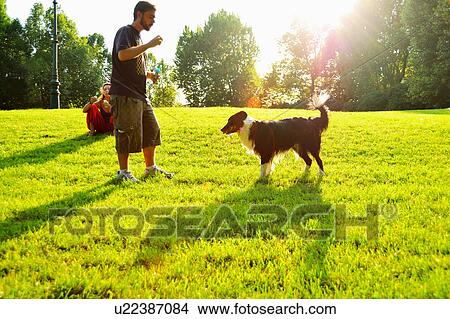 Man playing with dog in park View Large Photo Image Picture - Man playing with dog in park. Fotosearch
