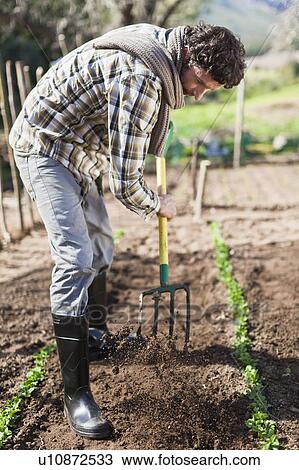 Stock Image - Man turning over soil in garden. Fotosearch