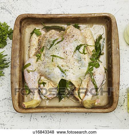 Marinated chicken with mustard sauce View Large Photo Image Stock Photo - Marinated chicken with mustard sauce. Fotosearch