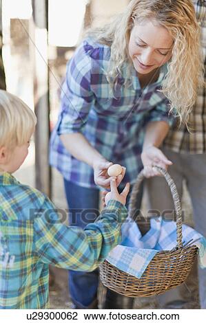 Mother and son fetching eggs from hens View Large Photo Image Stock Image - Mother and son fetching eggs from hens. Fotosearch