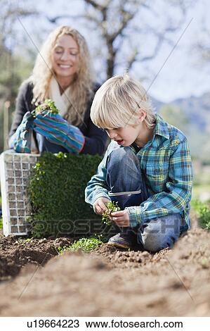Stock Image - Mother and son planting in garden. Fotosearch