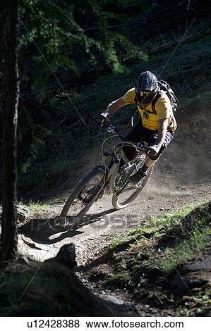 Mountain biker on dirt path View Large Photo Image Stock Photo - Mountain biker on dirt path. Fotosearch