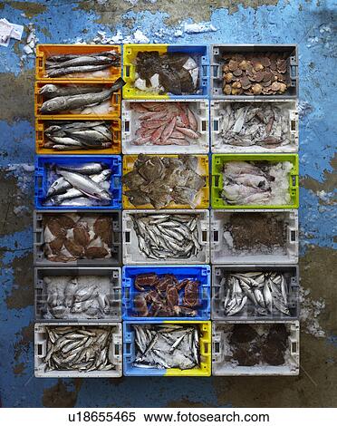 Overhead view of creates of seafood View Large Photo Image Stock Photography - Overhead view of creates of seafood. Fotosearch