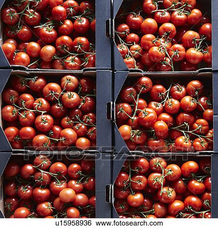 Packages of cherry tomatoes View Large Photo Image Stock Photograph - Packages of cherry tomatoes. Fotosearch