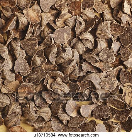 Raw cocoa on cutting board View Large Photo Image Picture - Raw cocoa on cutting board. Fotosearch