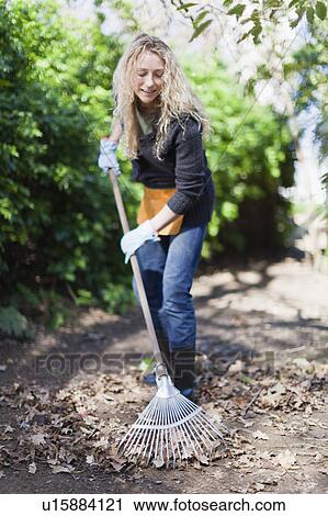 Smiling woman raking leaves outdoors View Large Photo Image Stock Image - Smiling woman raking leaves outdoors. Fotosearch