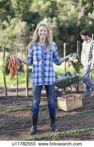 Stock Image - Woman picking vegetables in garden. Fotosearch