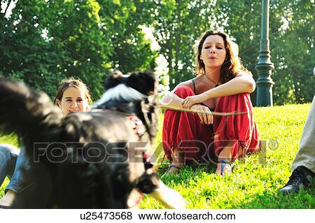 Woman playing with dog in park View Large Photo Image Stock Photo - Woman playing with dog in park. Fotosearch