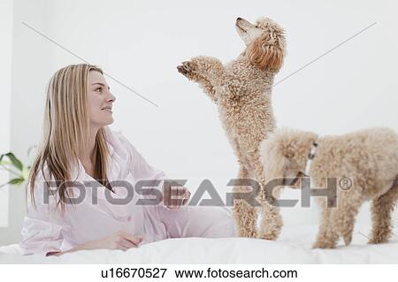 Stock Photo - Woman playing with dogs on bed. Fotosearch