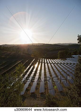 Picture - Aerial view of field of solar panels. Fotosearch