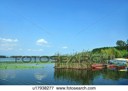 Boats docked by lake View Large Photo Image Stock Photo - Boats docked by lake. Fotosearch