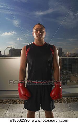 Boxer standing on urban rooftop View Large Photo Image Stock Image - Boxer standing on urban rooftop. Fotosearch