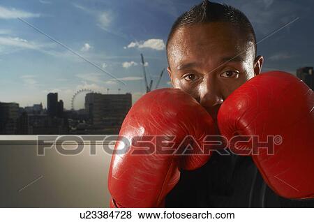 Boxer standing on urban rooftop View Large Photo Image Stock Photo - Boxer standing on urban rooftop. Fotosearch