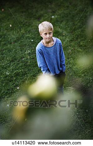 Boy admiring fruit in tree View Large Photo Image Stock Image - Boy admiring fruit in tree. Fotosearch