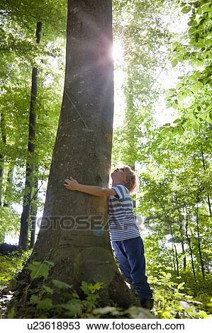 Boy hugging tree in forest View Large Photo Image Stock Image - Boy hugging tree in forest. Fotosearch
