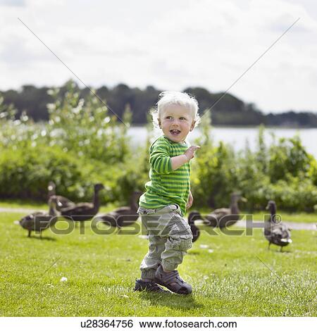 Boy playing with ducks in yard View Large Photo Image Stock Photograph - Boy playing with ducks in yard. Fotosearch