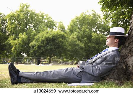 Businessman napping on tree in park View Large Photo Image Stock Photo - Businessman napping on tree in park. Fotosearch