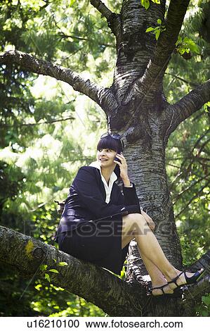 Businesswoman on cell phone in tree View Large Photo Image Stock Image - Businesswoman on cell phone in tree. Fotosearch