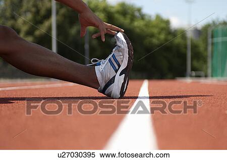 Close up of athlete stretching on track View Large Photo Image Stock Photography - Close up of athlete stretching on track. Fotosearch
