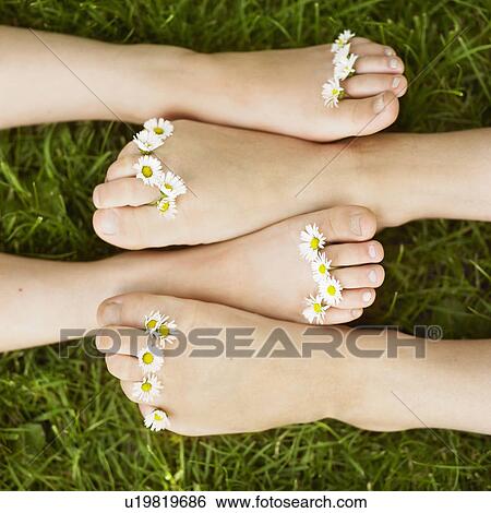 Stock Photograph - Close up of daisies on children's toes. Fotosearch