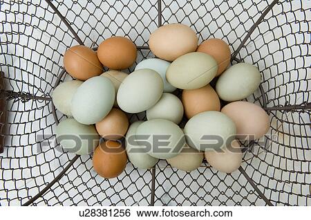 Close up of eggs in basket View Large Photo Image Stock Photograph - Close up of eggs in basket. Fotosearch