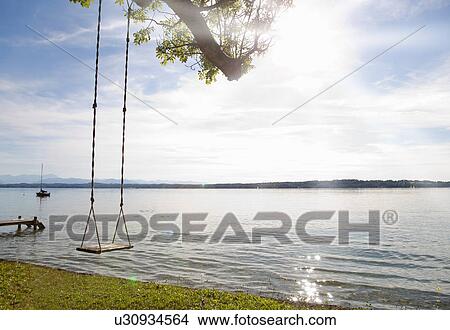 Picture - Empty tree swing by lake. Fotosearch