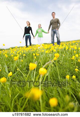 Family standing in field of flowers View Large Photo Image Stock Image - Family standing in field of flowers. Fotosearch
