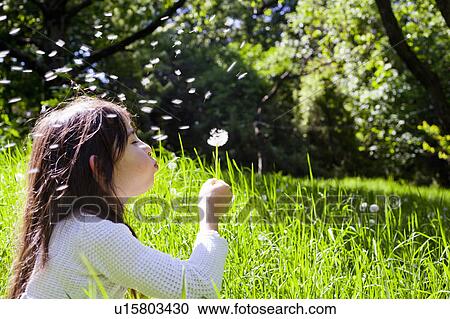 Stock Image - Girl blowing dandelion outdoors. Fotosearch