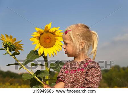 Girl holding sunflower outdoors View Large Photo Image Stock Photography - Girl holding sunflower outdoors. Fotosearch