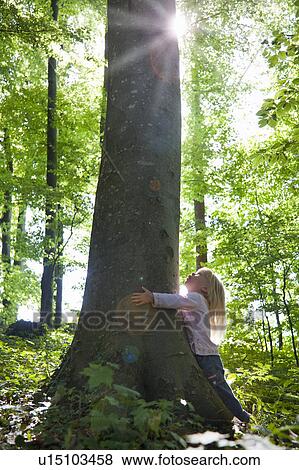Girl hugging tree in forest View Large Photo Image Stock Photo - Girl hugging tree in forest. Fotosearch